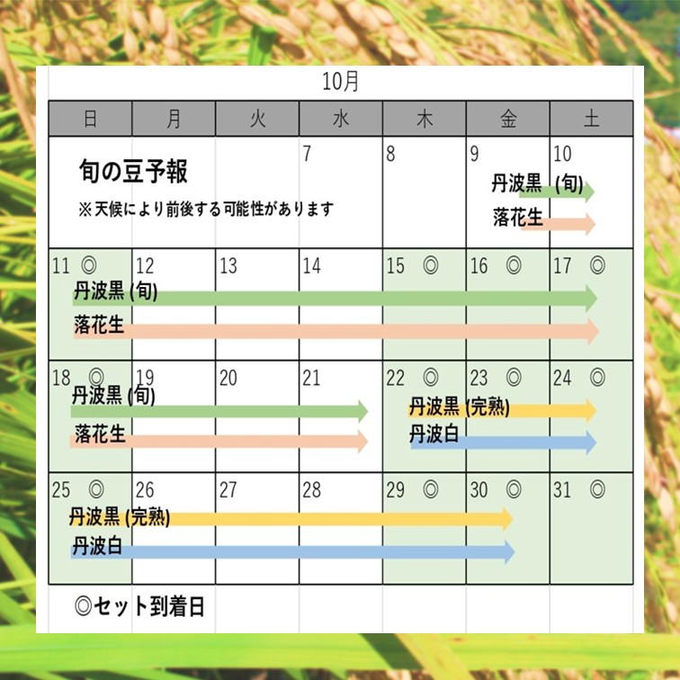 発送カレンダー10月